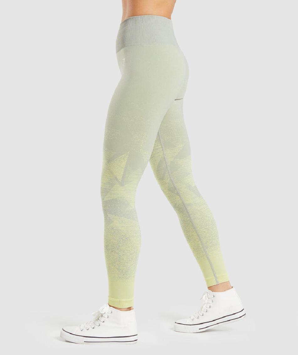 Leggins Gymshark Adapt Ombre Seamless Mujer Gris Marrones Gris | CO 2937VRW